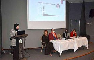 "Kadına Yönelik Şiddetle Mücadele Toplumsal...