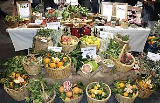 Kahramanmaraş Tarım Gıda ve Hayvancılık Fuarı...