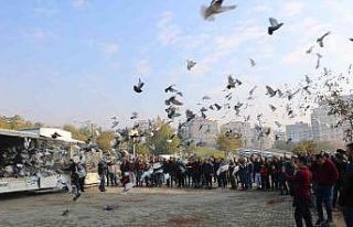Kahramanmaraş’ta 6 bin güvercin gökyüzüne salındı