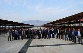 Kahramanmaraş’ta adaklık satıcılarına 3,5 milyon...