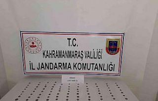 Kahramanmaraş’ta Roma dönemine ait 103 adet sikke...