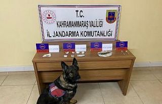 Kahramanmaraş’ta uyuşturucu operasyonunda 11 gözaltı