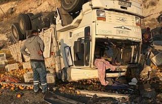 Kamyon otomobile çarptı, tonlarca narenciye yola...