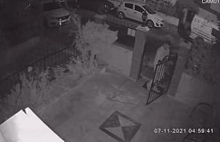 Kapı hırsızı güvenlik kamerasında