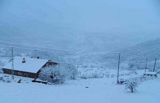 Kar Posof’u beyaza bürüdü