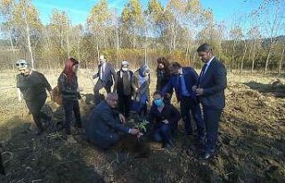 ‘Kara mürver’ toprakla buluştu