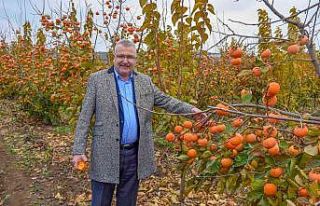 Karacabey’e alternatif tarım modeli