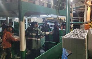 Karadeniz’de balık bolluğu yaşanıyor