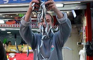 Karadeniz’deki hamsi bolluğu Samsun’daki fiyatlara...