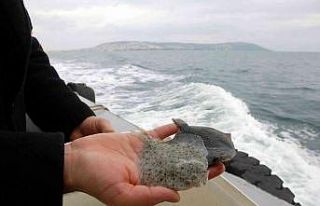Karadeniz’in Kalkan denizi olması için 24 yılda...