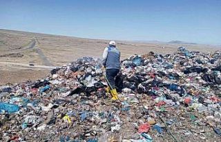Karasinek üreme alanları ilaçlanıyor