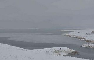 Kars’ta Çıldır Gölü donmaya başladı