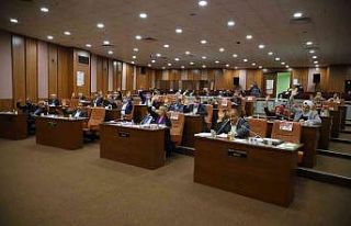 Kartal Belediye Meclisi’nden kadına yönelik şiddete...