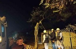 Kartal’da lodos nöbeti