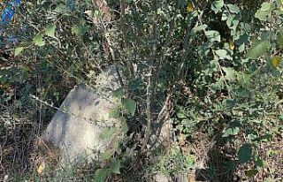 Karton toplayıcısı tarlada Osmanlı eserleri buldu