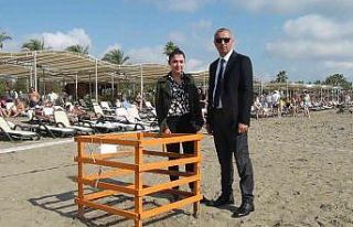 Kasım ayında denizle buluşan caretta caretta yavruları...