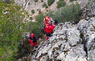 Kayalıklara düşen keçiyi itfaiye kurtardı