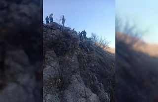 Kayalıklarda mahsur kalan keçileri AFAD kurtardı