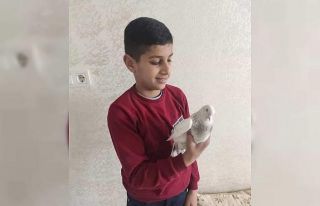 Kayalıklardan düşen 12 yaşındaki çocuk öldü