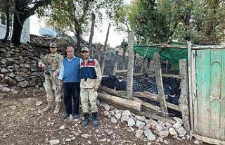 Kaybolan 50 küçükbaş hayvan jandarma tarafından...