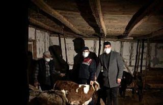 Kayıp hayvanlar sahiplerine teslim edildi