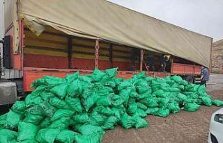 Kayseri’de 12 ton kaçak kömür ele geçirildi