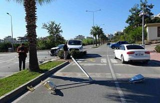 Kaza yapan kamyonet, aydınlatma direğini devirdi