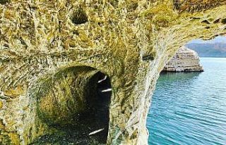 Keban’da 45 milyon yıllık tarihi kalıntılar...