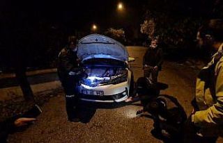 Kedi inatçı çıkınca, gazeteci başka araçla...