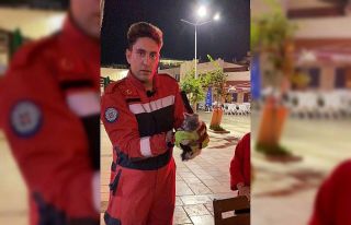 Kedinin feryadına itfaiye yetişti