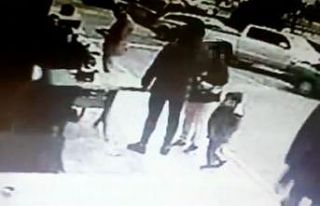 Kendilerine aile görünümü vererek 8 adet çalıntı...