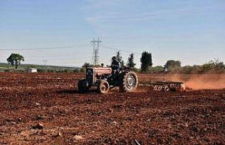 Kepez’de ikinci buğday ekimi hazırlığı