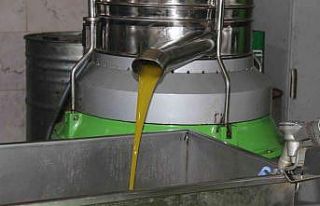 Kilis’te zeytinyağının kilosu 33 TL’den satılıyor