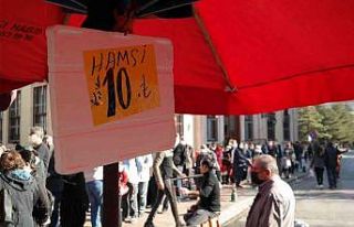 Kilosu 10 TL’ye düşen hamsiyi gören sıraya girdi