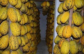 Kırkağaç’ın yazlık kavunları kışlık sofralar...