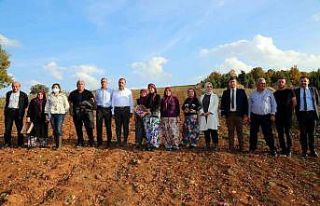 Kırsal kalkınma yatırımlarına destek