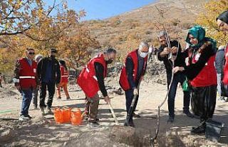 Kızılay Haftasında Ali Dağına yüzlerce meyve...