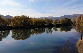 Kızılırmak’ı saran ağaçlar görsel şölen...