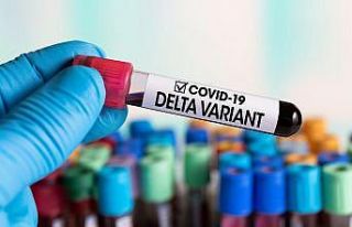 KKTC’de görülen COVID-19 vakalarının yüzde...