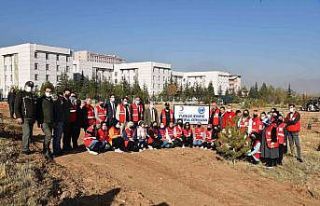 KMÜ’de Yunus Emre Hoşgörü Ormanı