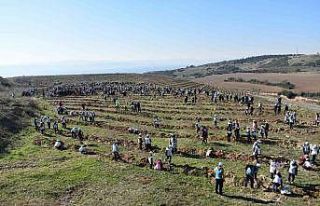 Kocaeli’de 40 bin fidan toprakla buluşturuldu