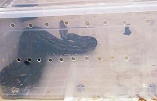 KOM kaçakçılara geçit vermiyor