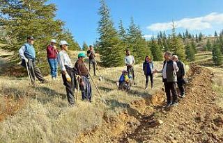 Kömürhan Köprüsünün iki yakasına 55 bin adet...