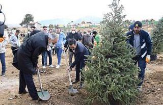 Konya büyükşehir Belediyesi 5 bin fidanı toprakla...