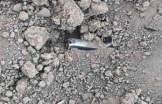 Konya’da 2 kişiyi vuran şüphelinin silahı evinin...