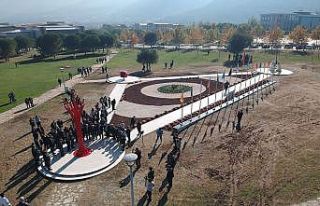 Koordinatların işaret ettiği Pamukkale Üniversitesi...
