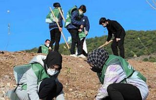 Körfez’de 5 bin fidan dikildi