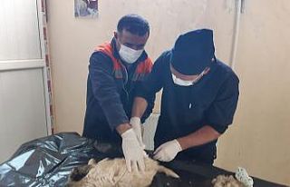 KÖYDES ekibinden örnek davranış