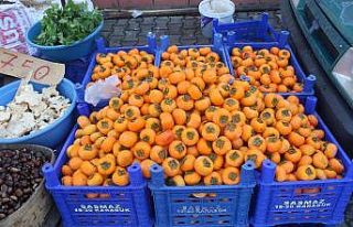 Köylülerin topladığı organik ’Trabzon hurması’...