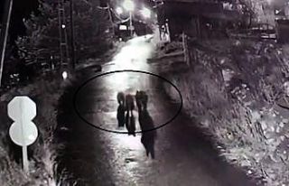 Köyün sokaklarında dolaşan 3 ayı güvenlik kamerasına...